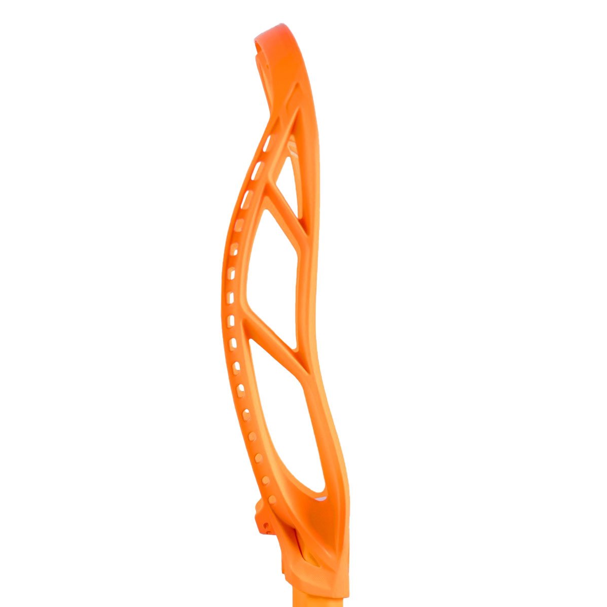 stx creamstickle orange stallion 1k head unstrung side