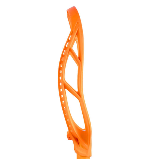 stx creamstickle orange stallion 1k head unstrung side