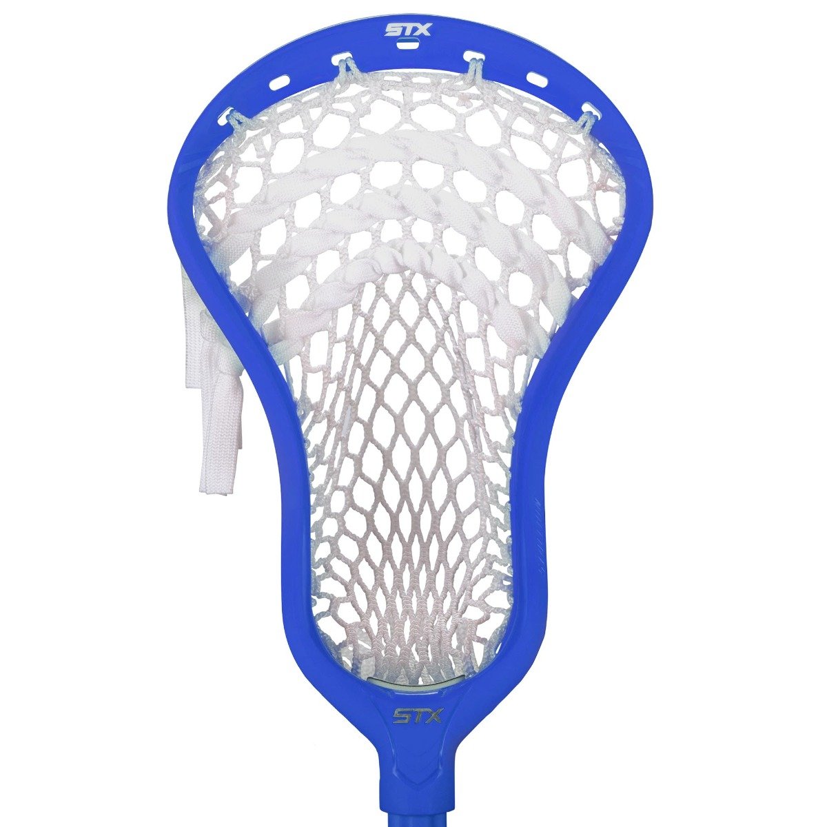 STX Stallion 1K Head Pro Strung Royal Blue Front